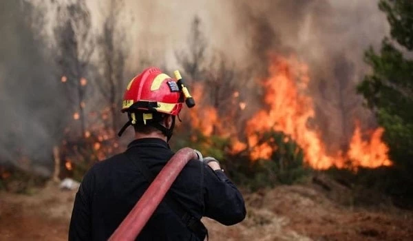 Πυρκαγιά στην Αρτέμιδα – Άμεση επέμβαση της Πυροσβεστικής